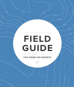 cm-field-guide-insights-cover